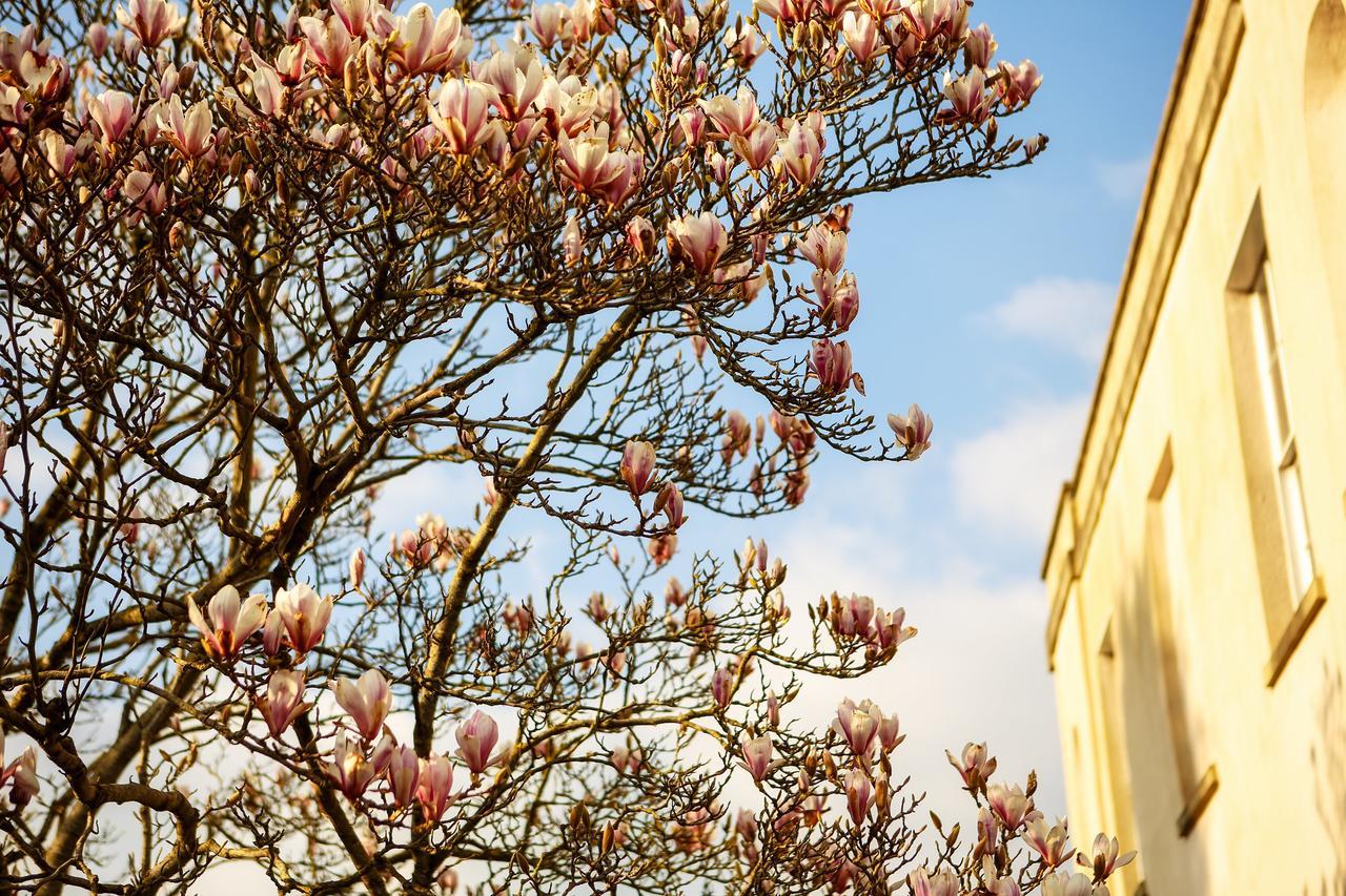 Backwell House Hotel Nailsea ภายนอก รูปภาพ